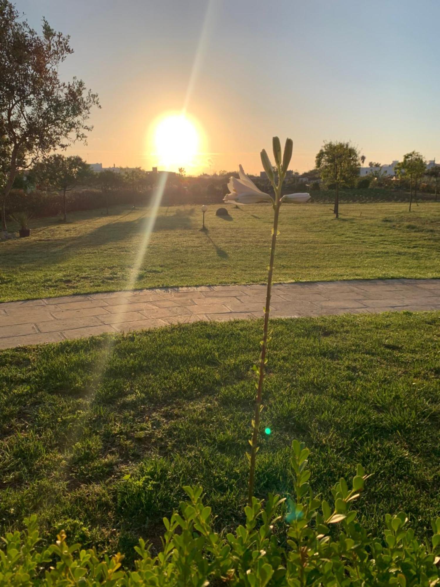 Masseria Capece Bed & Breakfast Uggiano La Chiesa Εξωτερικό φωτογραφία