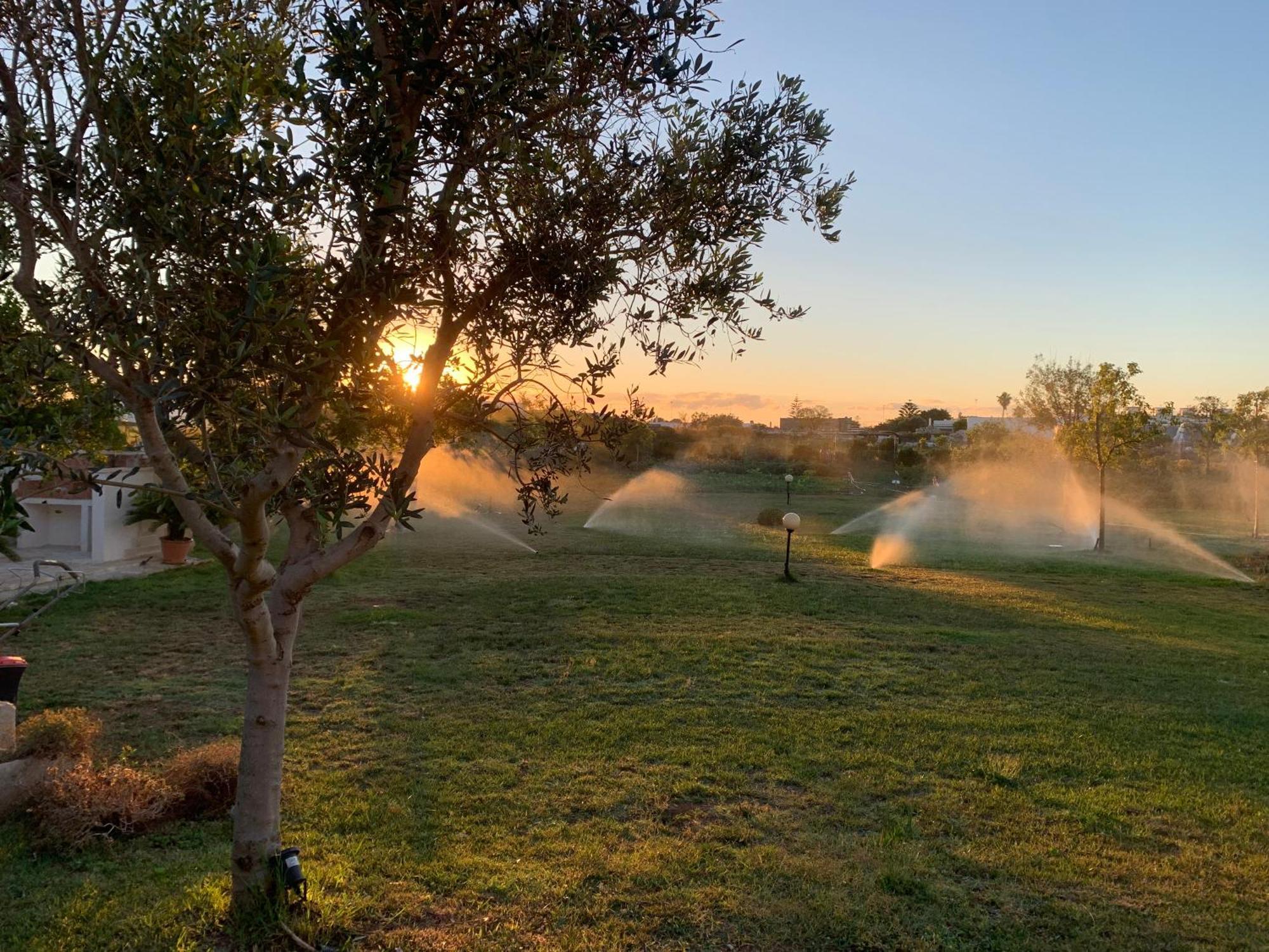 Masseria Capece Bed & Breakfast Uggiano La Chiesa Εξωτερικό φωτογραφία